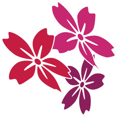 hibiskus-drei © lichtblitze