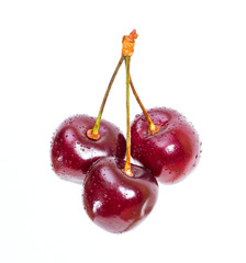 Cherries