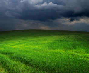 green field