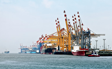 Fototapeta premium Containerumschlag in Bremerhaven