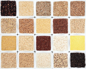 Grain Sampler
