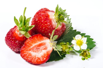 Sommer-Schönheiten: Frisch gepflückte Erdbeeren