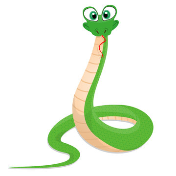 Illustration of a funny snake