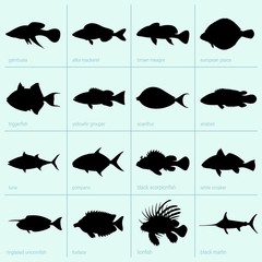 Sea fish icons