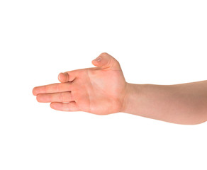 Dog-like hand gesture isolated