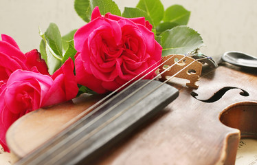 Fototapeta premium Beautiful violin