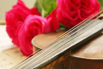 Fototapeta premium Beautiful violin