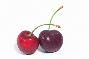Double black cherries on isolate white background