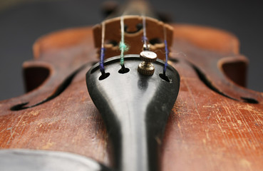 Beautiful violin