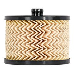 Replaceable fuel filter