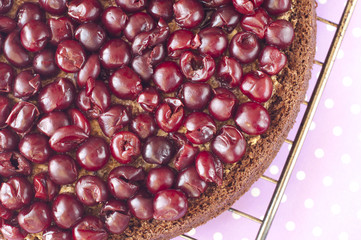 homemade chocolate cherry tart