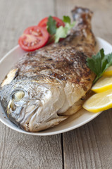 Fried (roasted) Fish (Dorado) Garnished with Lemon, Tomato
