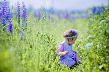 Fototapeta premium Portrait of little girl in a field of flowers