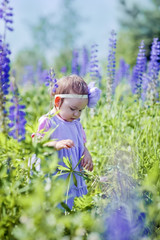 Portrait of little girl in a field of flowers