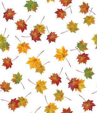 Vector seamless background of autumnal leaves.