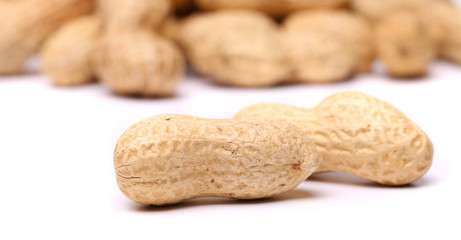 Two peanuts in closeup on the peanut background