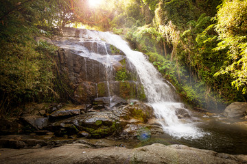 Naklejka na ściany i meble Waterfall in the park forest