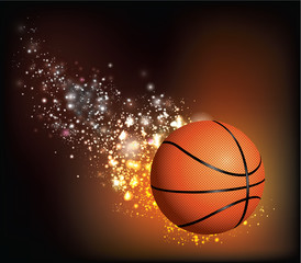 Basket Ball Flies