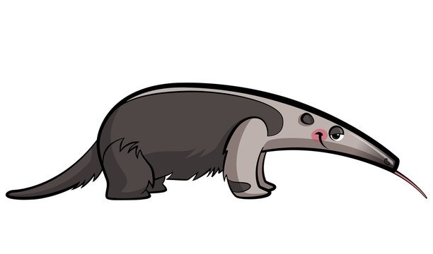 Cartoon anteater animal