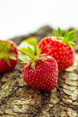 Erdbeeren