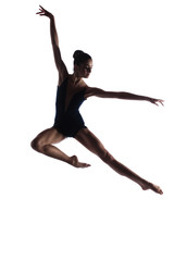 Female ballet dancer - 53767197
