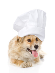 Dog in chef's hat looking to the right. isolated on white 