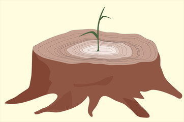 Young tree sprout from cutted one