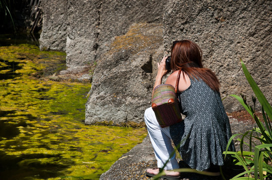 touste prenant une photo dans un jardin