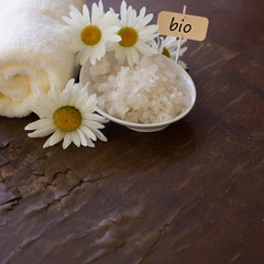 Fototapeta na wymiar Spa products on wooden background. Sea salt with natural compone