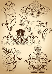 Set of floral vintage vector design elements.