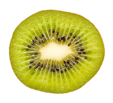 recommend clip art: kiwi