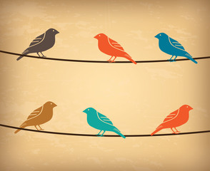 birds design