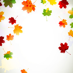 Naklejka na ściany i meble Vector Illustration of an Autumn Background with Leafs