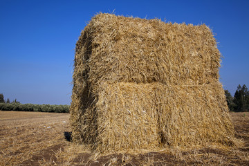 Bale of Hay in a Field
