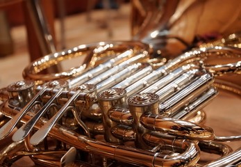 french horn