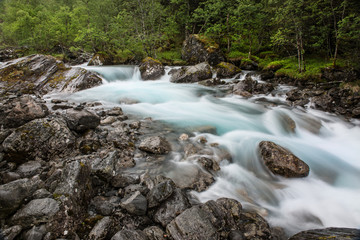 Fototapeta premium scandinavian nature