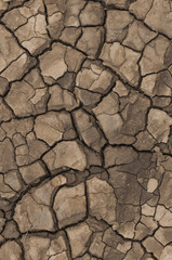 Mud on a beach which has dried and cracked