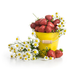 Strawberries and Flowers