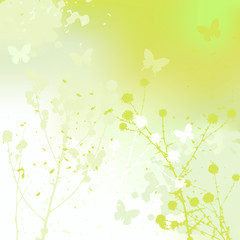 Floral background, dandelion. Meadow during summertime.
