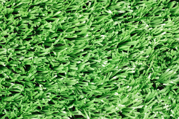 Synthetic grass (Texture)
