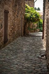 Fototapeta na wymiar Aleja w miejscowości Minerve Hérault
