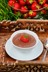 Creamy chocolate pudding on wooden tray in the garden