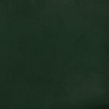 Green Leather Texture Closeup