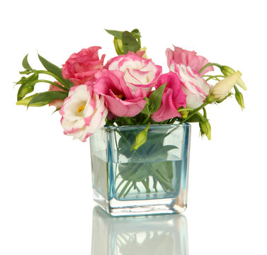 Bouquet Of Eustoma Flowers In Vase Isolated On White