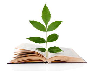 Book with plant isolated on white