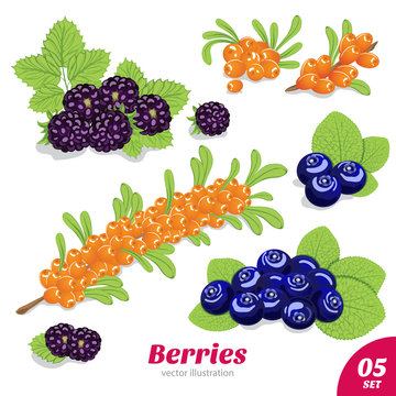 Set of blackberries, blueberries and sea buckthorn