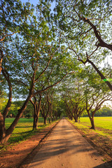 Fototapeta premium Dirt Road stretching out