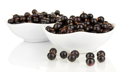 Fresh black currant isolated on white