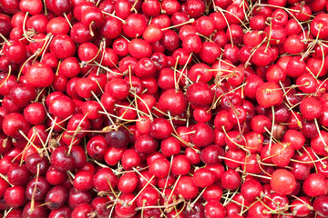 red juicy cherries