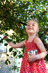 child picking cherries